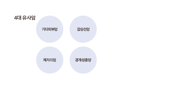 4대 유사암기타피부암갑상선암제자리암경계성종양